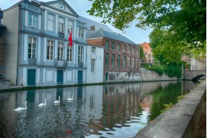 Four Swans of Bruges